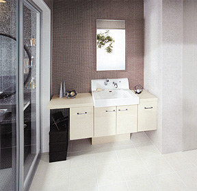 �E�ߎ����t�H�[���C���[�W