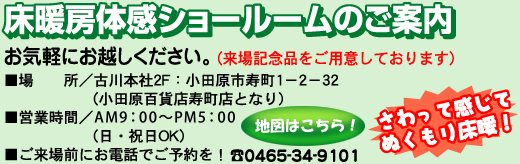 ���g�[�̊��V���[���[���̂��ē�