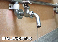 �֌��̐��R�ꓙ