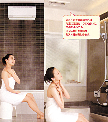 �~�X�g�C���[�W