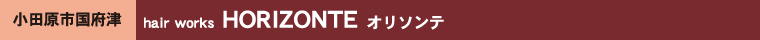 hair works�@HORIZONTE�i�I���\���e�j