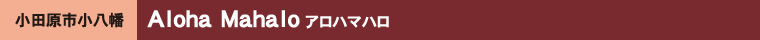 Aloha Mahalo �A���n�}�n��