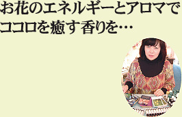 ���Ԃ̃G�l���M�[�ƃA���}��
�R�R�������������c