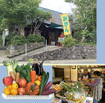 ���C�v���@�t���[�c&�A�O��