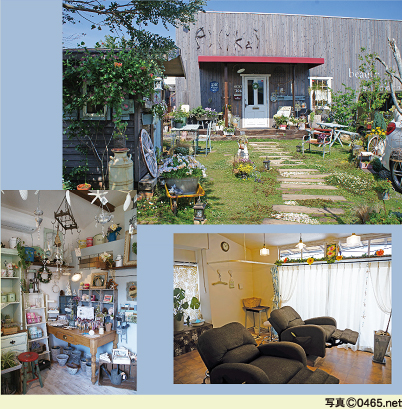 beauty & zakka�@Pilikai �s���J�C