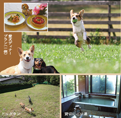 ����������	GUAM  DOG!