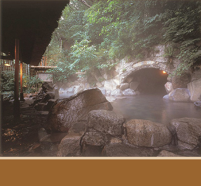 �����{�@�V�R������
���A���C